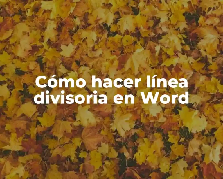 Cómo hacer línea divisoria en Word
