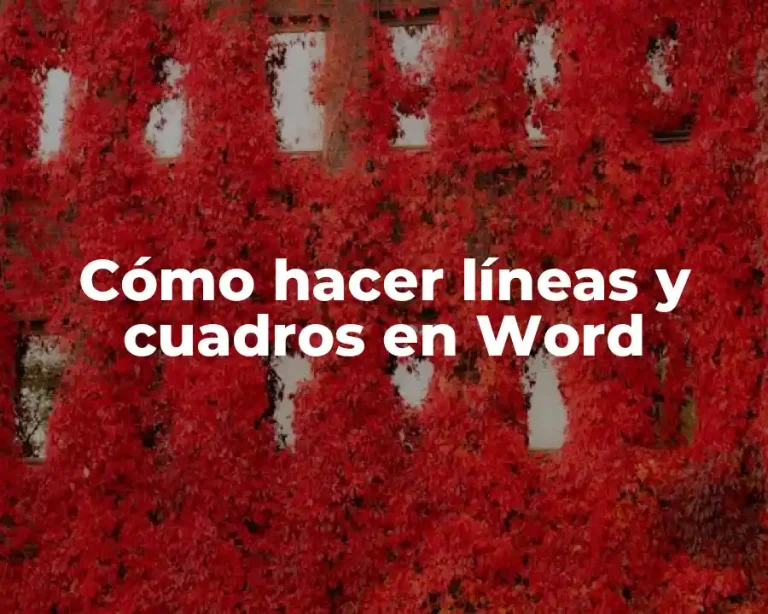 Cómo hacer líneas y cuadros en Word