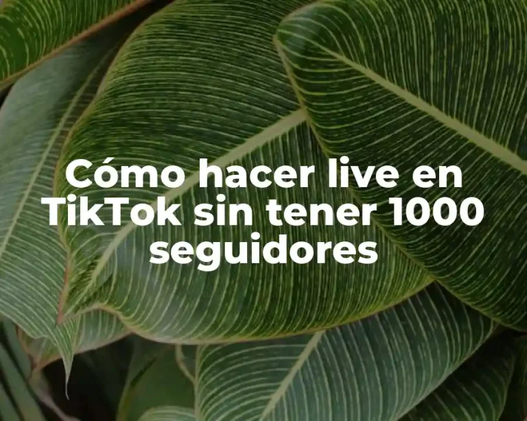 Cómo hacer live en TikTok sin tener 1000 seguidores