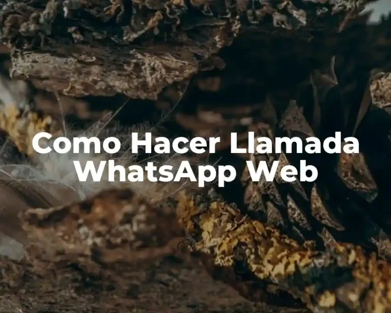 Como Hacer Llamada WhatsApp Web