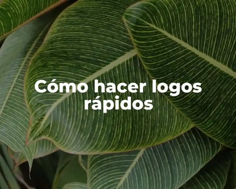 Cómo hacer logos rápidos