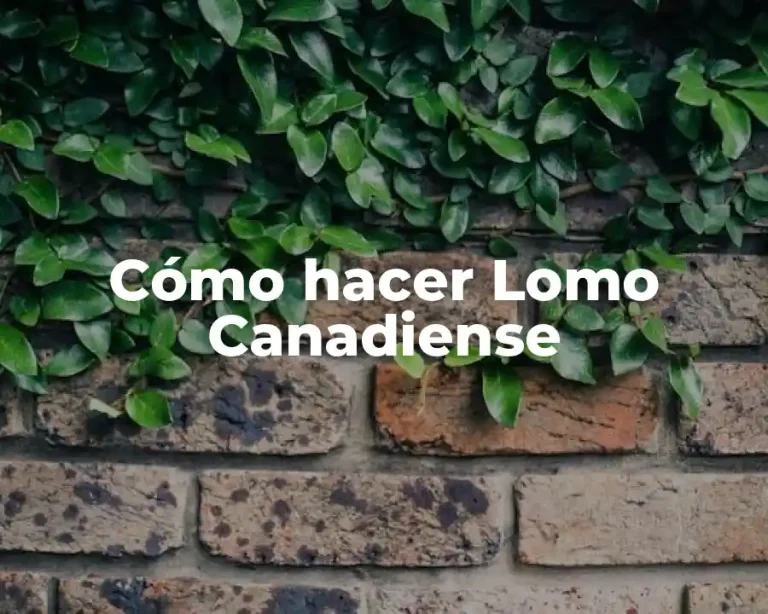 Cómo hacer Lomo Canadiense