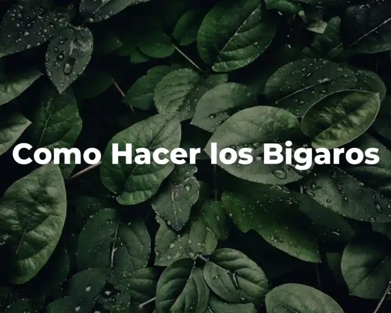 Como Hacer los Bigaros