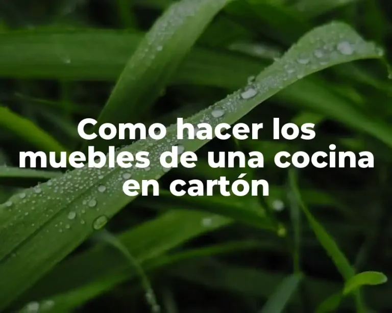 Como hacer los muebles de una cocina en cartón
