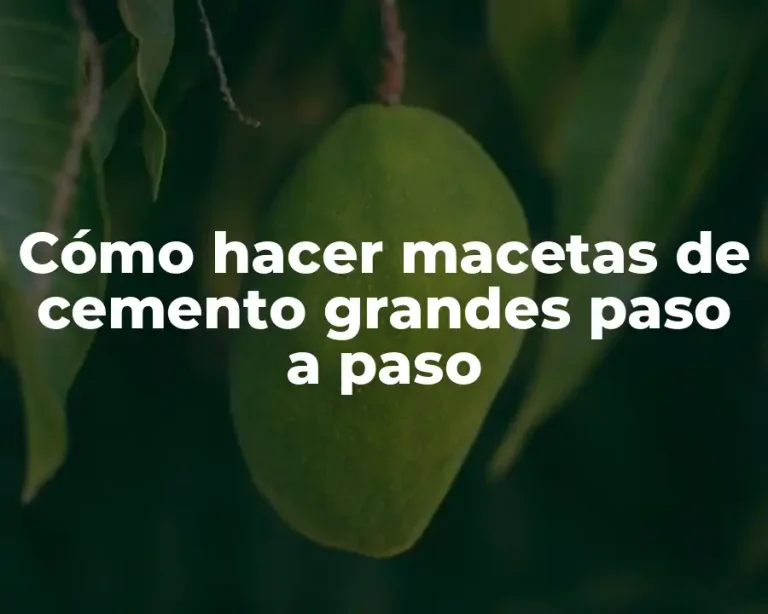 Cómo hacer macetas de cemento grandes paso a paso