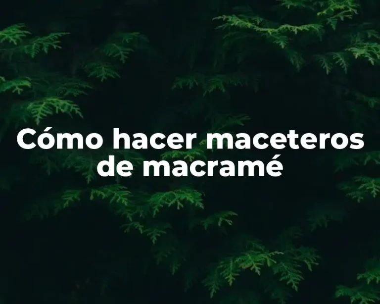 Cómo hacer maceteros de macramé