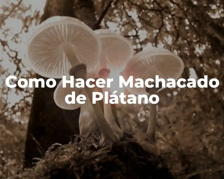 Como Hacer Machacado de Plátano