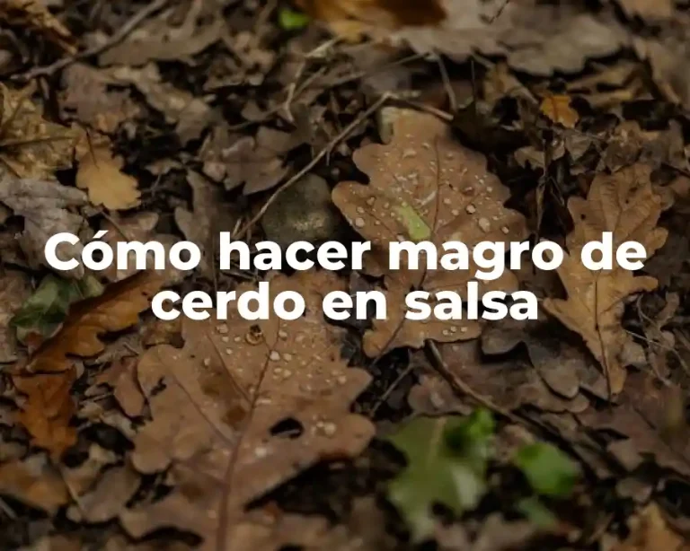 Cómo hacer magro de cerdo en salsa