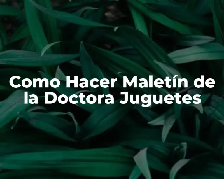 Como Hacer Maletín de la Doctora Juguetes