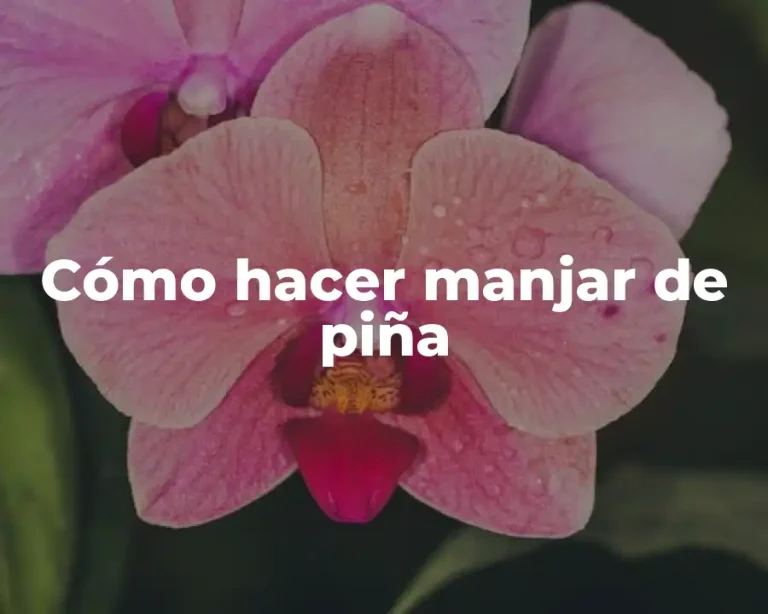 Cómo hacer manjar de piña