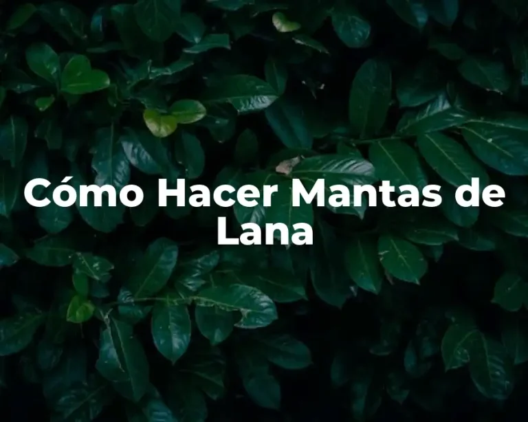 Cómo Hacer Mantas de Lana