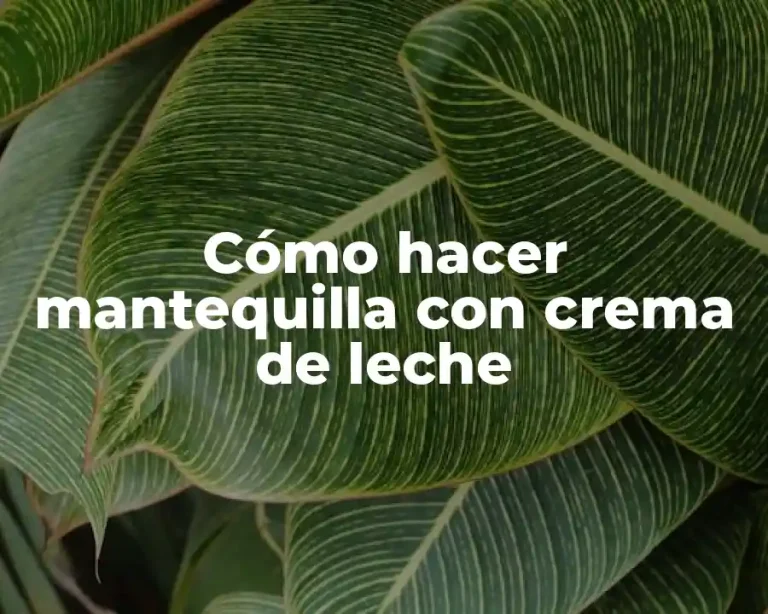Cómo hacer mantequilla con crema de leche