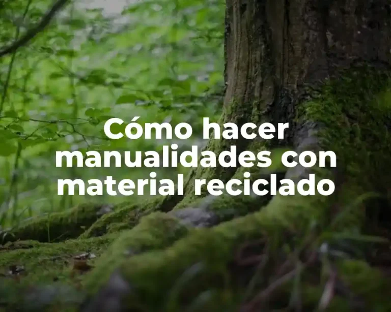 Cómo hacer manualidades con material reciclado
