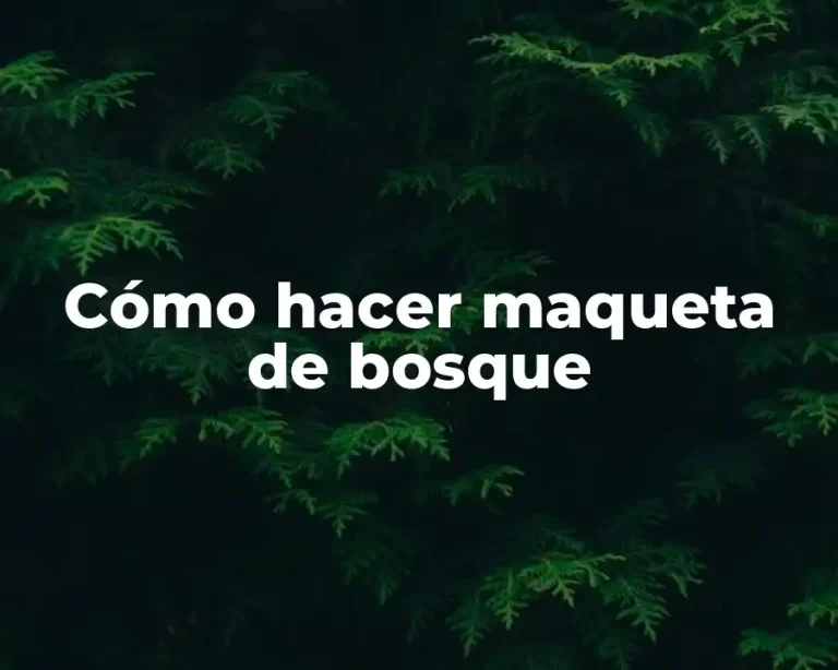 Cómo hacer maqueta de bosque