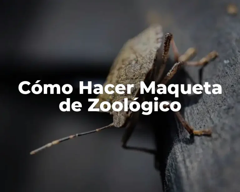 Cómo Hacer Maqueta de Zoológico