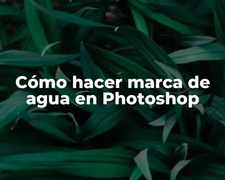 Cómo hacer marca de agua en Photoshop