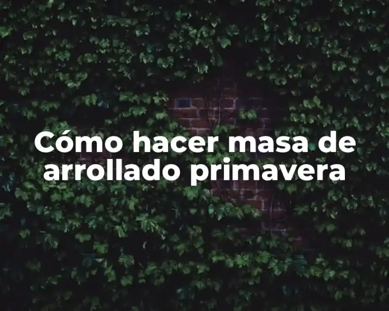 Cómo hacer masa de arrollado primavera