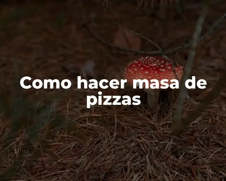 Como hacer masa de pizzas