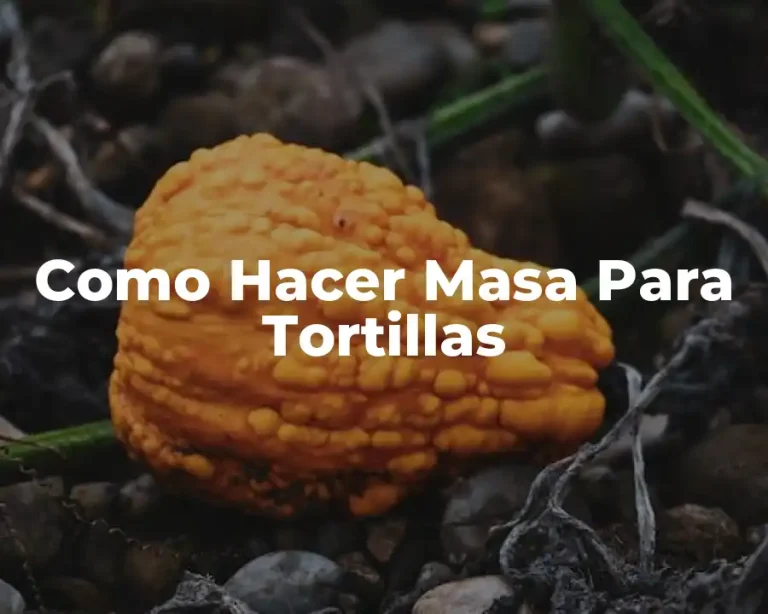 Como Hacer Masa Para Tortillas
