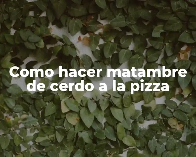 Como hacer matambre de cerdo a la pizza