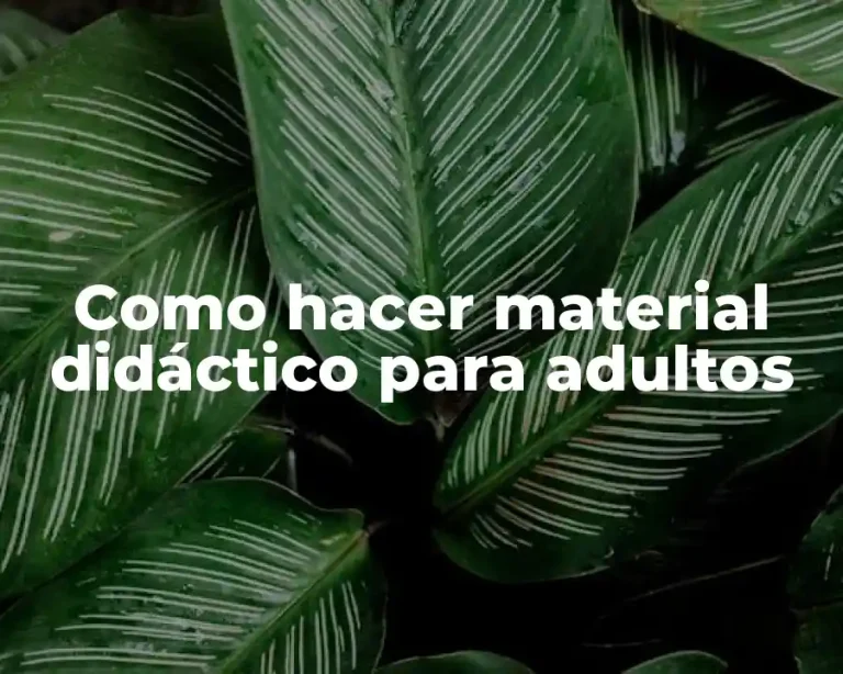 Como hacer material didáctico para adultos