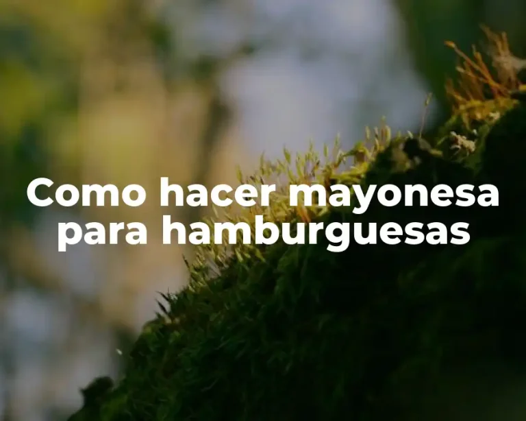 Como hacer mayonesa para hamburguesas
