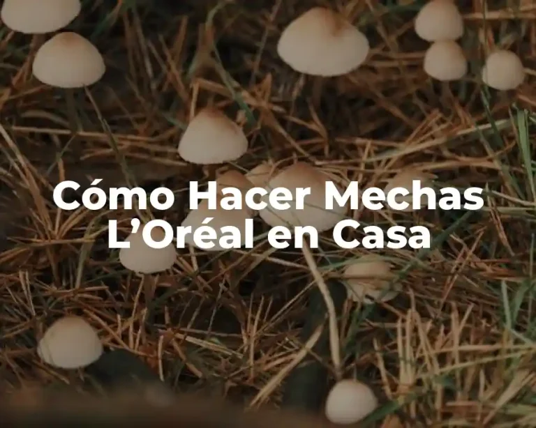Cómo Hacer Mechas L’Oréal en Casa