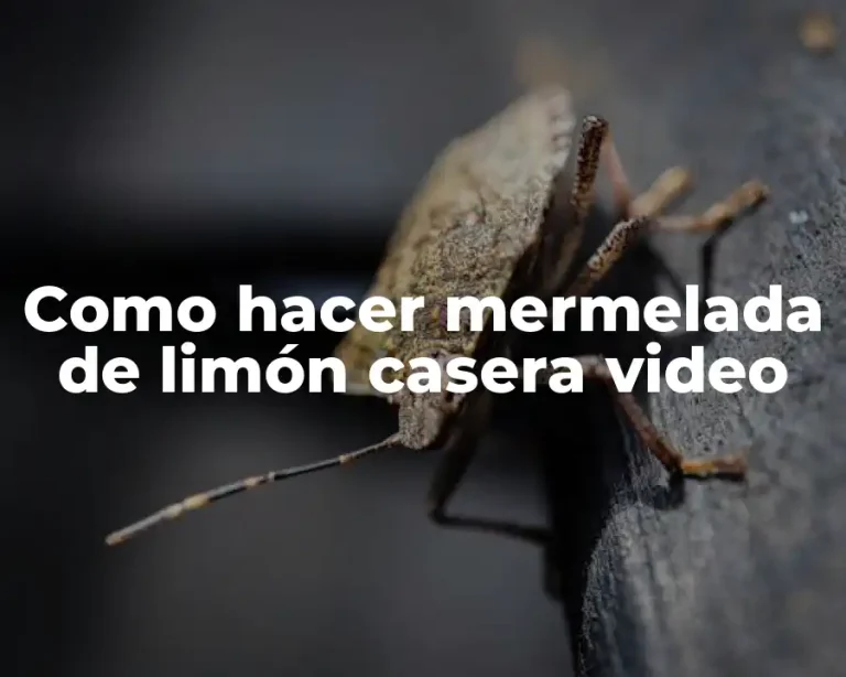 Como hacer mermelada de limón casera video