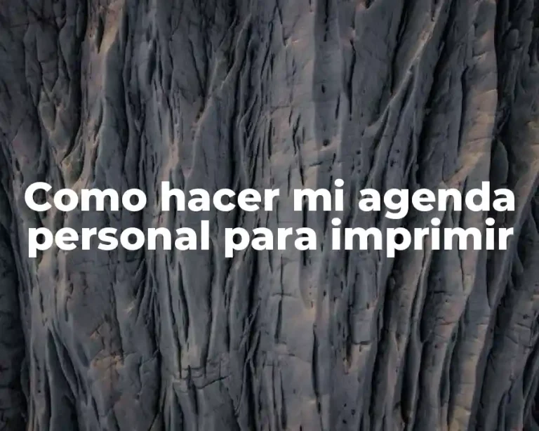 Como hacer mi agenda personal para imprimir