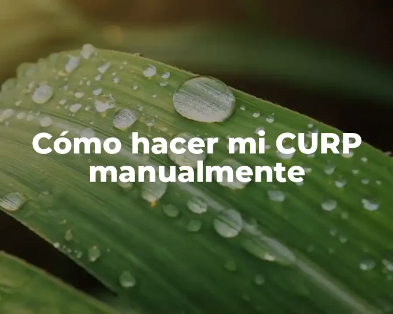 Cómo hacer mi CURP manualmente