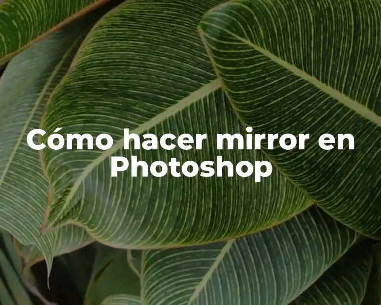 Cómo hacer mirror en Photoshop