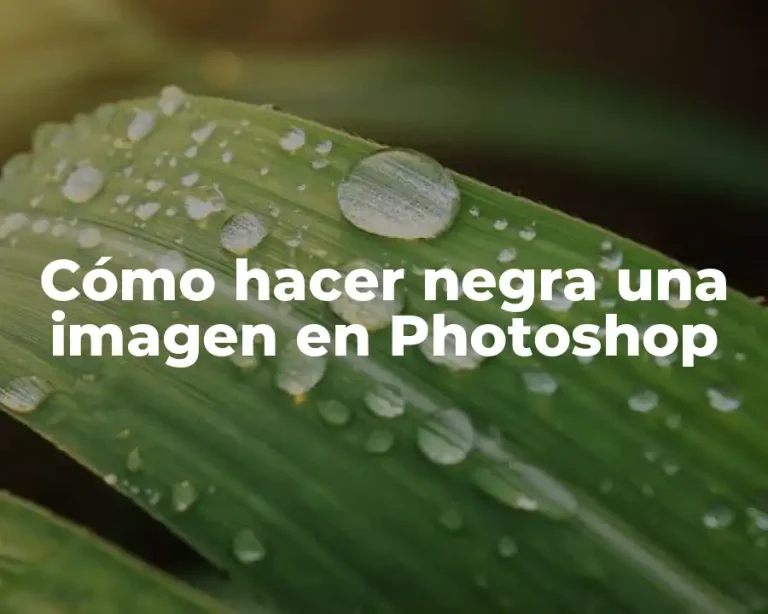 Cómo hacer negra una imagen en Photoshop