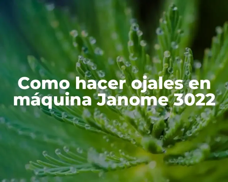 Como hacer ojales en máquina Janome 3022