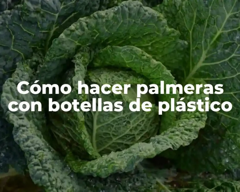 Cómo hacer palmeras con botellas de plástico