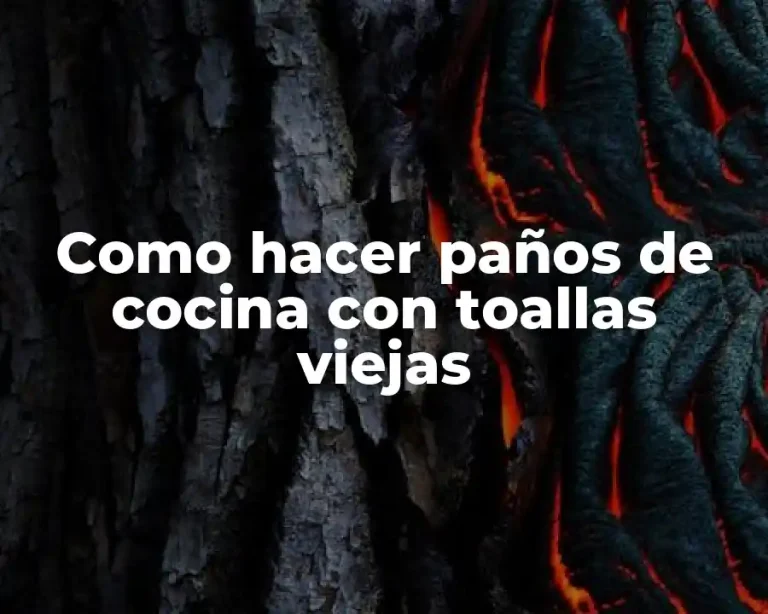 Como hacer paños de cocina con toallas viejas