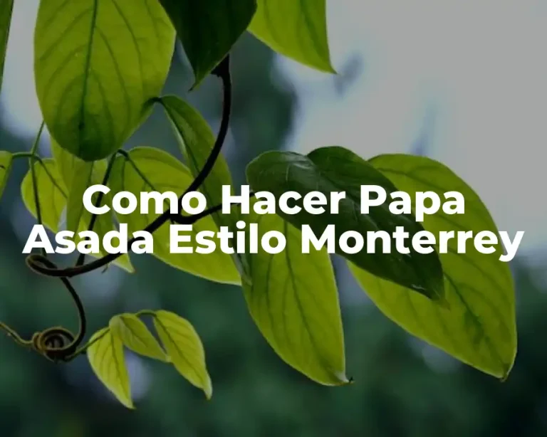 Como Hacer Papa Asada Estilo Monterrey