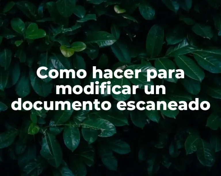 Como hacer para modificar un documento escaneado