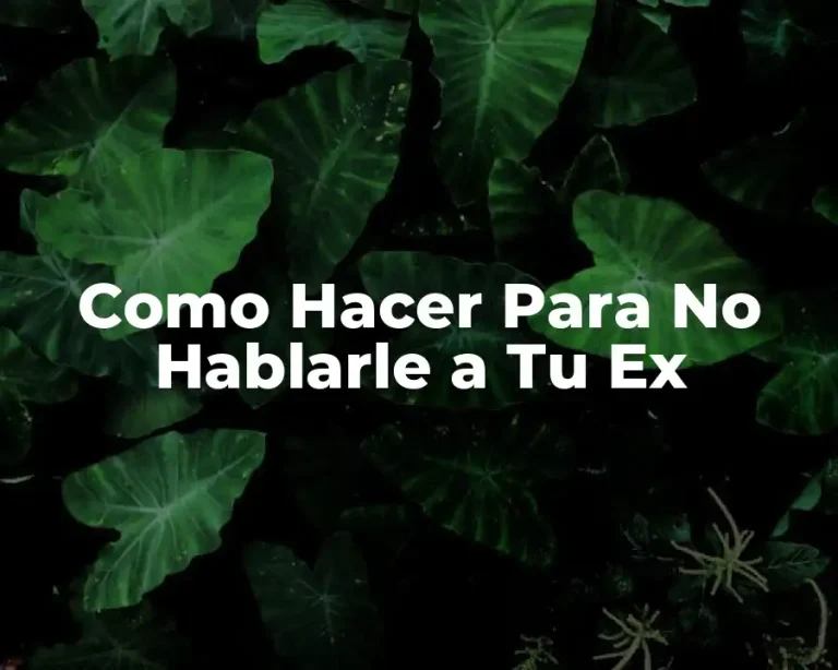Como Hacer Para No Hablarle a Tu Ex
