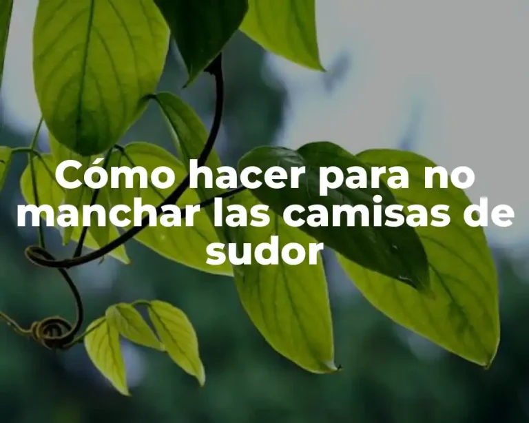 Cómo hacer para no manchar las camisas de sudor