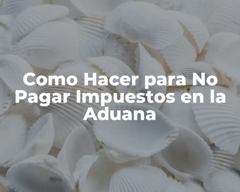Como Hacer para No Pagar Impuestos en la Aduana