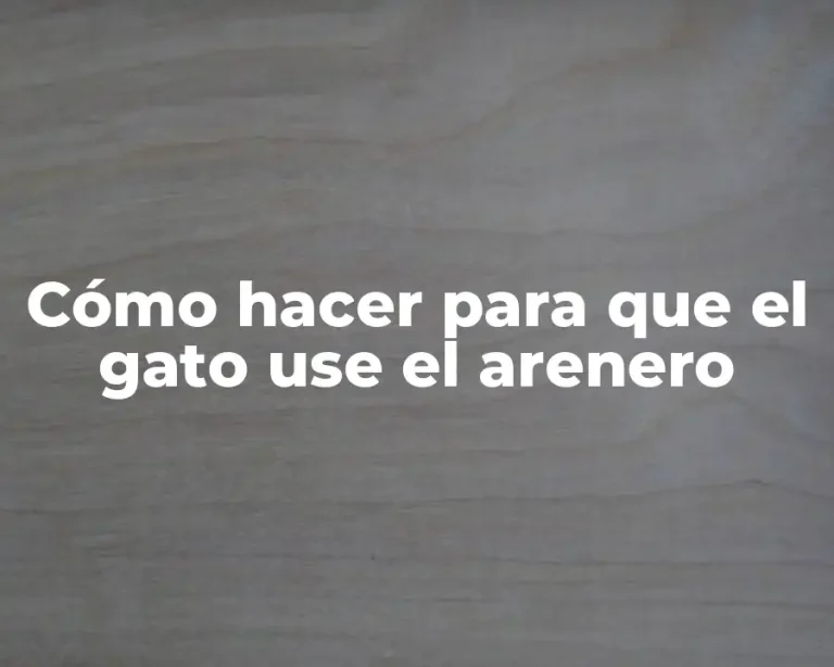 Cómo hacer para que el gato use el arenero