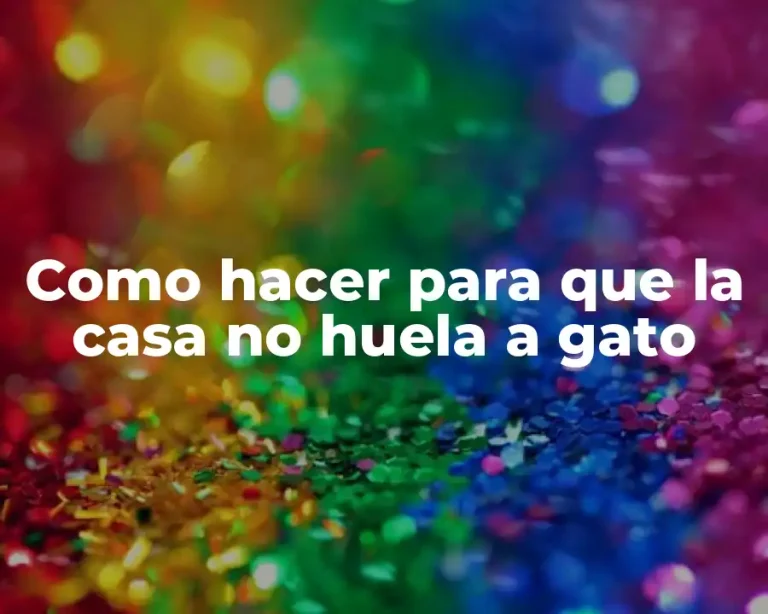 Como hacer para que la casa no huela a gato