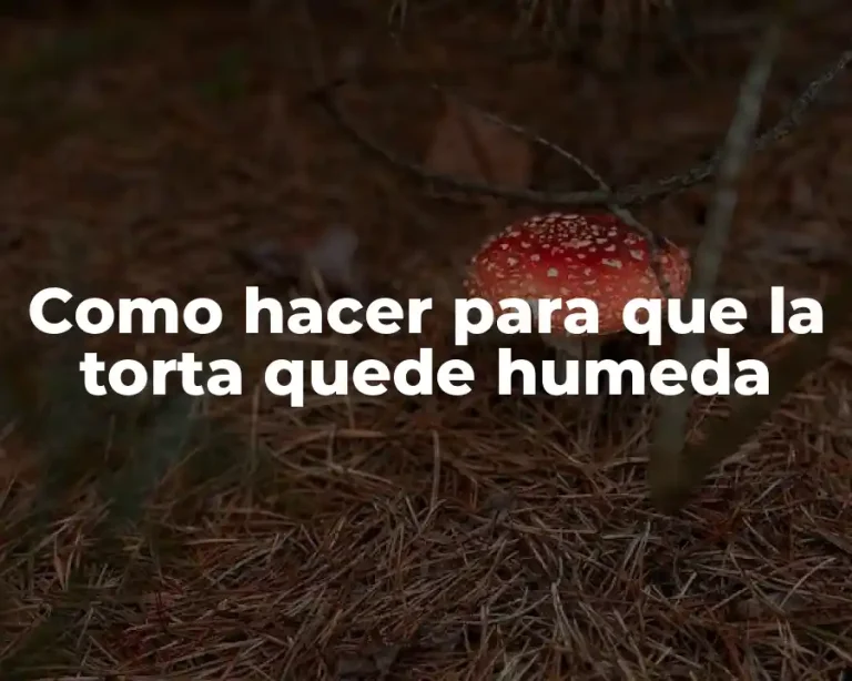 Como hacer para que la torta quede humeda