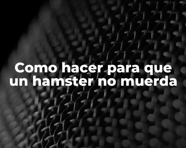 Como hacer para que un hamster no muerda