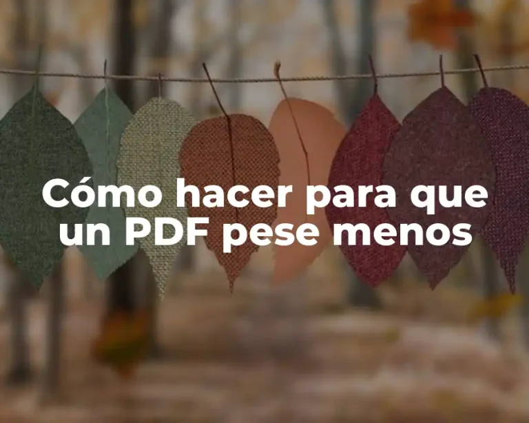 Cómo hacer para que un PDF pese menos