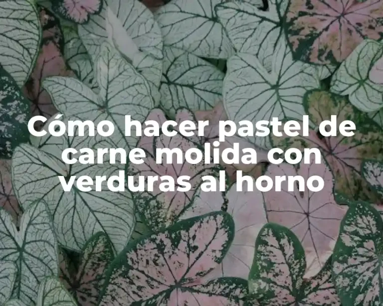 Cómo hacer pastel de carne molida con verduras al horno