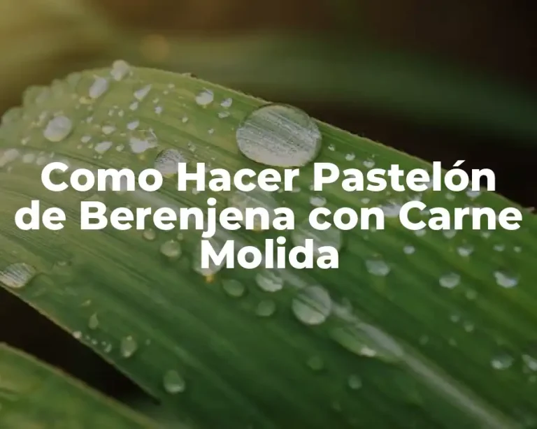 Como Hacer Pastelón de Berenjena con Carne Molida