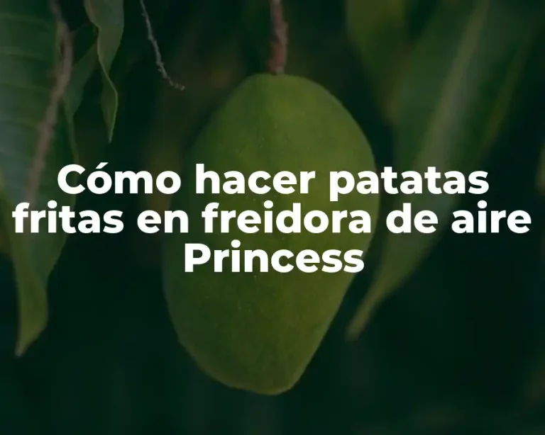 Cómo hacer patatas fritas en freidora de aire Princess