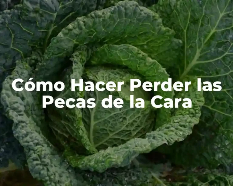 Cómo Hacer Perder las Pecas de la Cara