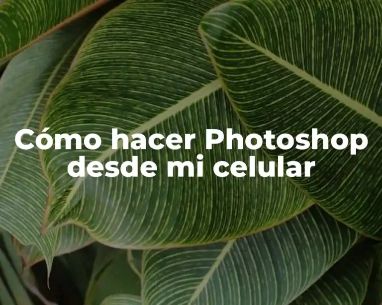 Cómo hacer Photoshop desde mi celular